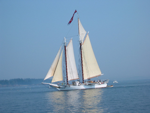 Seal Cove - Merchants Harbor