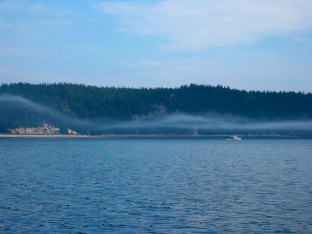 Roque Island fog