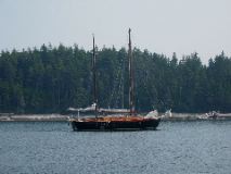 Morning Star - Merchant Harbor