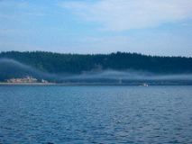 Roque Island fog