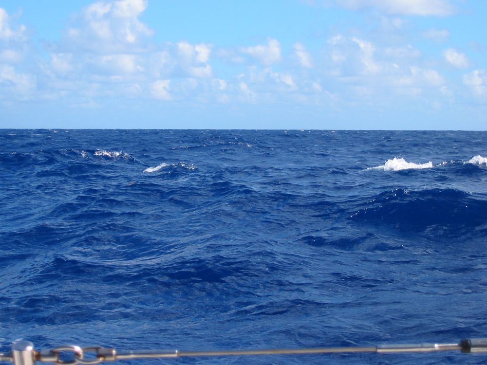 Sea Scape -3
