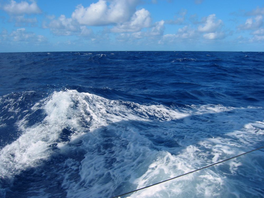 Sea Scap - 4