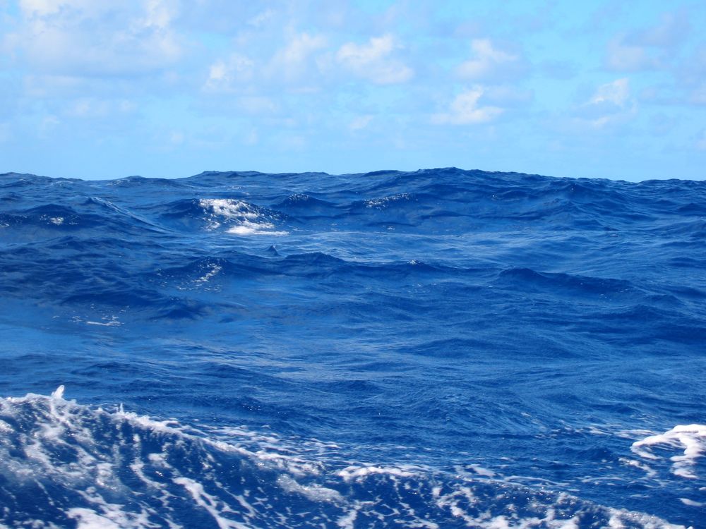 Sea Scap - 7