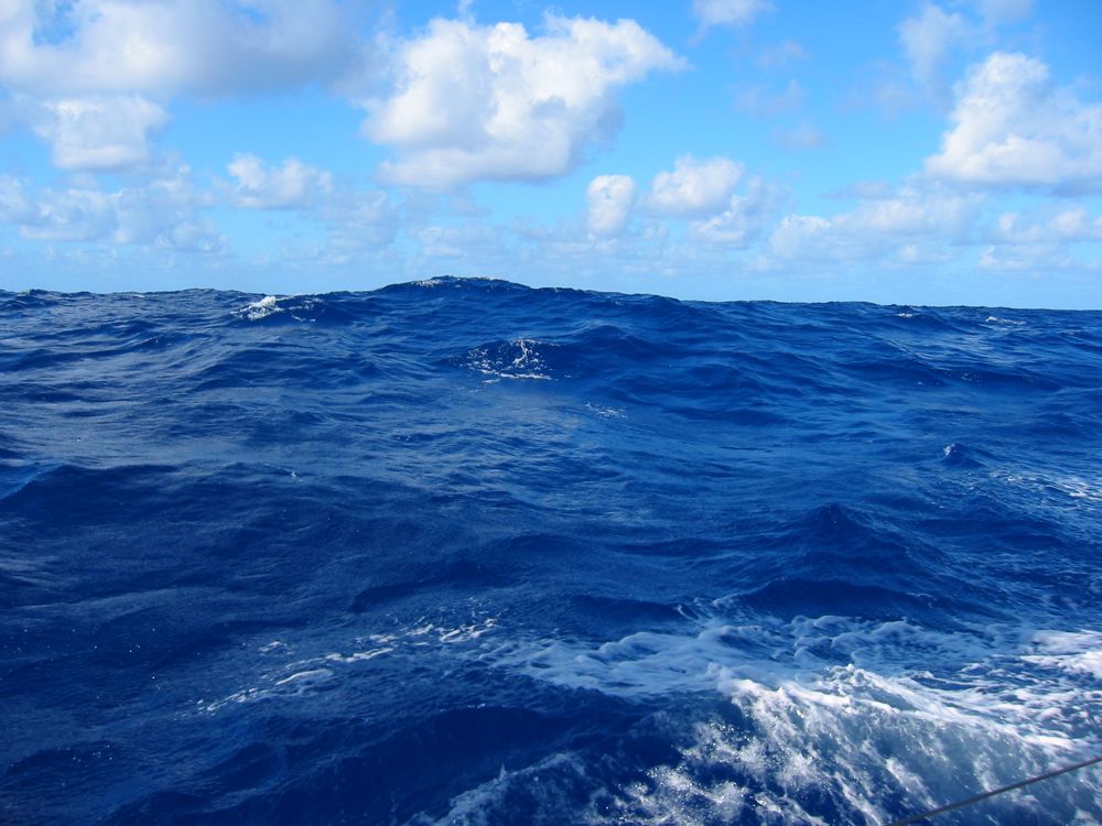 Sea Scape - 1