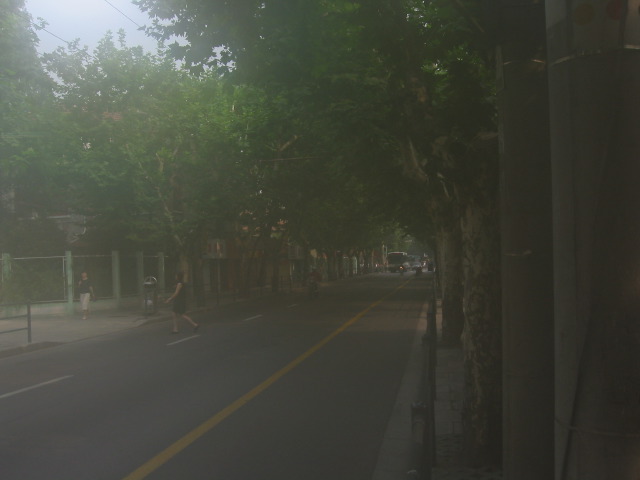 early morning fog