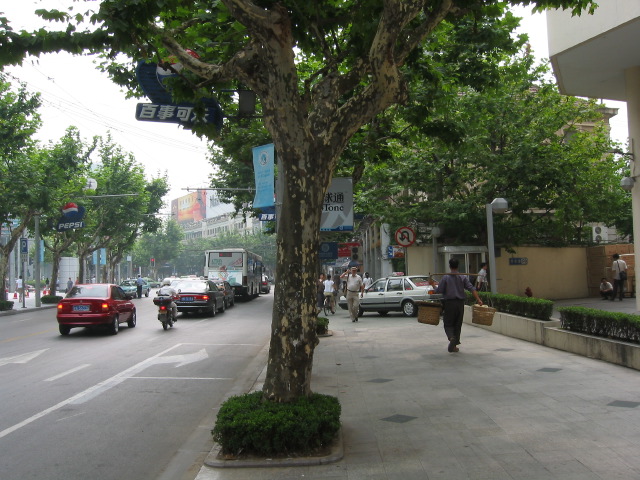 Street scene 4