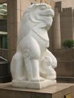 Lion and cub at Shanghai Museum