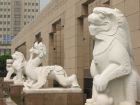 More lions