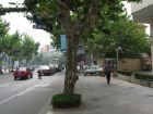 Street scene 4